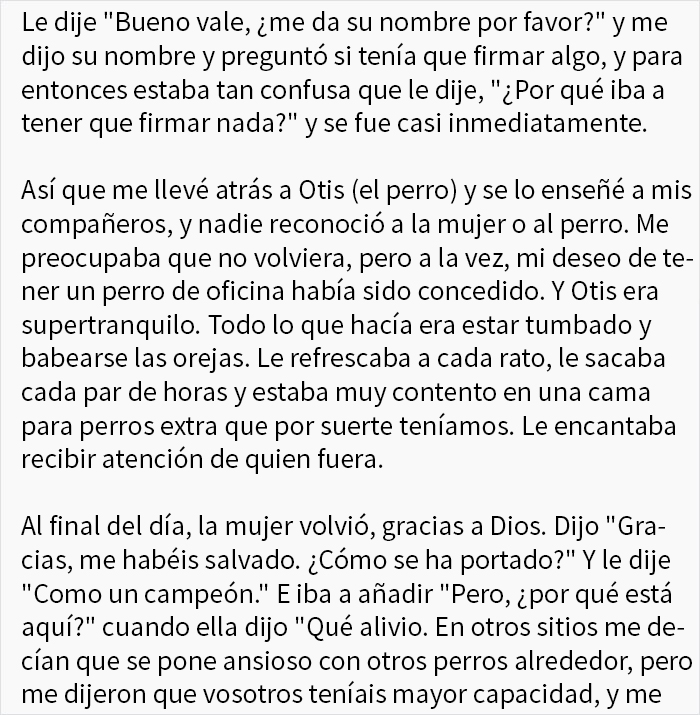 Durante meses, una mujer dejó a su perro en esta oficina pensando que era una guardería para perros