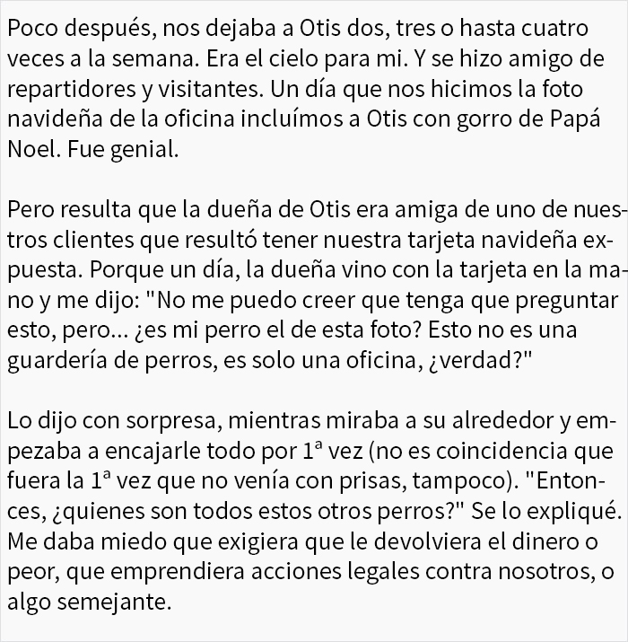 Durante meses, una mujer dejó a su perro en esta oficina pensando que era una guardería para perros