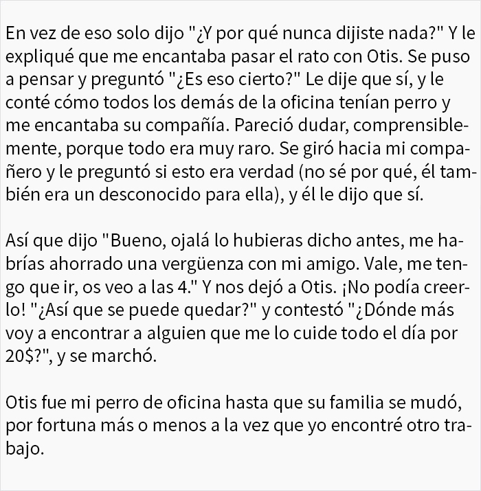 Durante meses, una mujer dejó a su perro en esta oficina pensando que era una guardería para perros