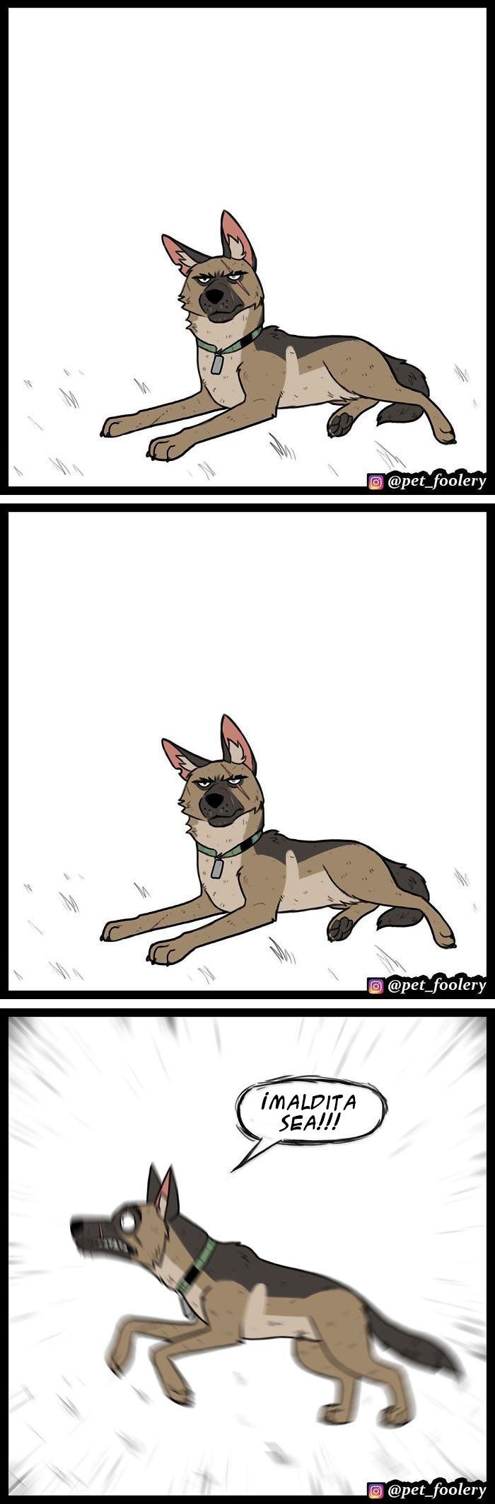 10 Nuevos cómics tan adorables como divertidos de Pixie y Brutus para alegrarte el día