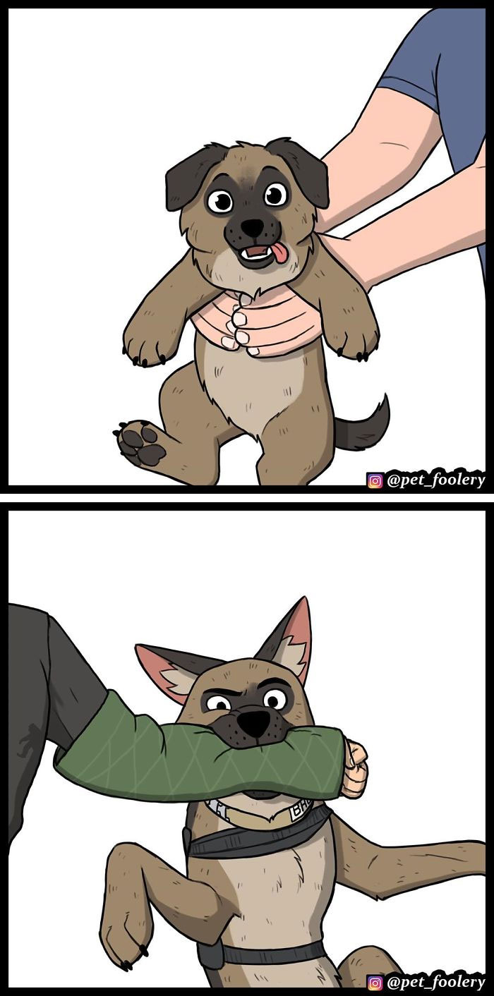 10 Nuevos cómics tan adorables como divertidos de Pixie y Brutus para alegrarte el día