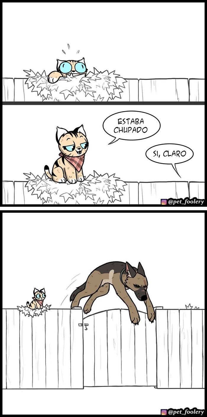 10 Nuevos cómics tan adorables como divertidos de Pixie y Brutus para alegrarte el día