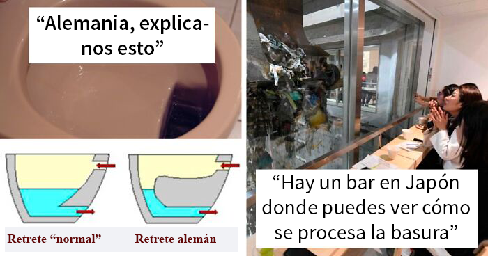 ‘Hoy aprendí’: 30 cosas interesantes que la gente no aprendió en el colegio