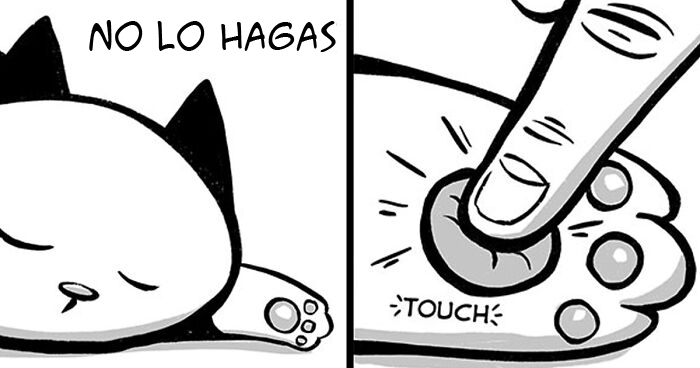 20 Divertidos cómics sobre la realidad de vivir con un gato (nuevas imágenes)