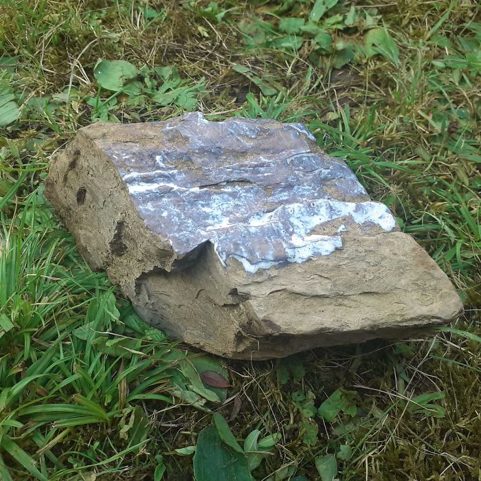 Le Ha Puesto Protector Solar A La Piedra Para Que "No Se Queme"
