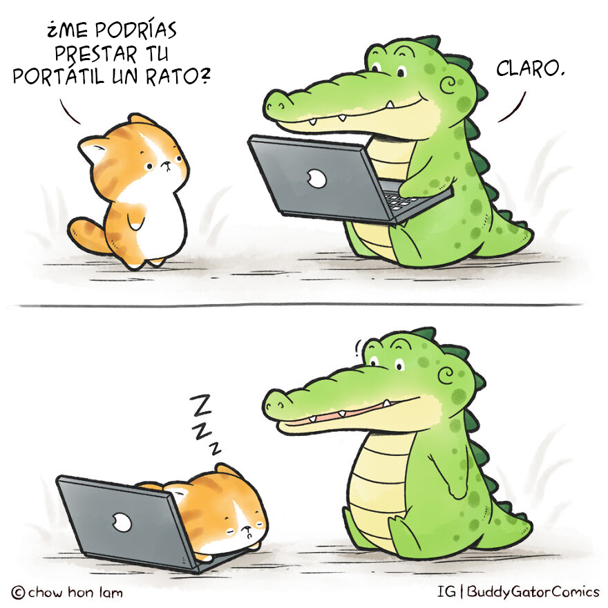 Portátil Para La Siesta