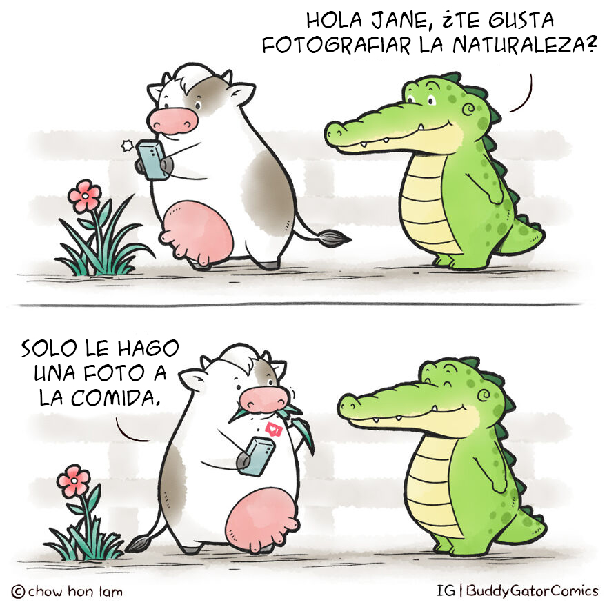 Fotografía
