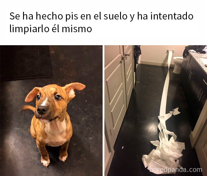 Intento De Limpiar
