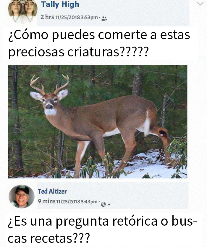 Intento De Activismo Animal