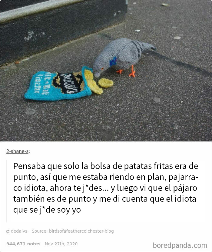 Intento De Burlarse
