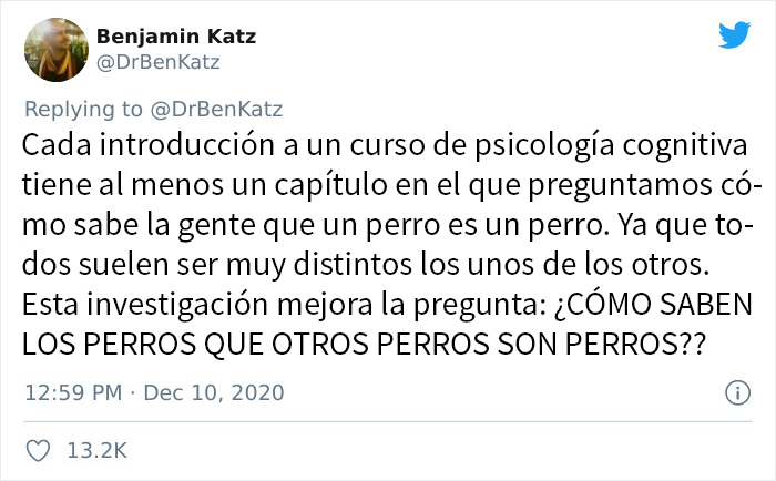 Estos investigadores intentaron identificar cómo se reconocen los perros entre ellos, pero su trabajo se volvió viral por ser adorable