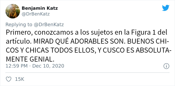 Estos investigadores intentaron identificar cómo se reconocen los perros entre ellos, pero su trabajo se volvió viral por ser adorable