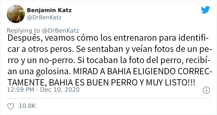 Estos investigadores intentaron identificar cómo se reconocen los perros entre ellos, pero su trabajo se volvió viral por ser adorable