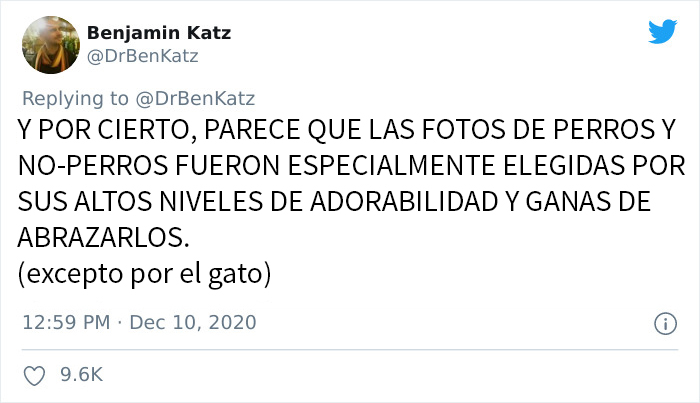 Estos investigadores intentaron identificar cómo se reconocen los perros entre ellos, pero su trabajo se volvió viral por ser adorable