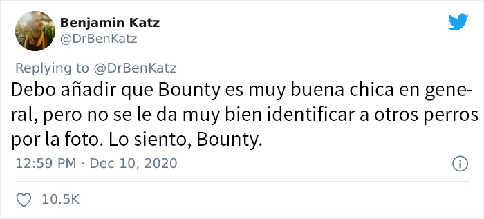 Estos investigadores intentaron identificar cómo se reconocen los perros entre ellos, pero su trabajo se volvió viral por ser adorable
