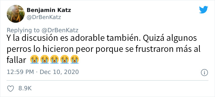 Estos investigadores intentaron identificar cómo se reconocen los perros entre ellos, pero su trabajo se volvió viral por ser adorable