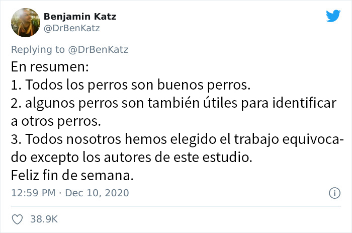 Estos investigadores intentaron identificar cómo se reconocen los perros entre ellos, pero su trabajo se volvió viral por ser adorable