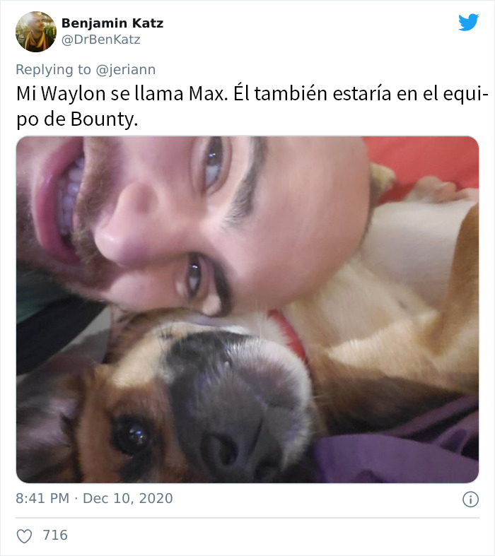 Estos investigadores intentaron identificar cómo se reconocen los perros entre ellos, pero su trabajo se volvió viral por ser adorable