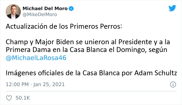 Los perros de Biden se han mudado a la Casa Blanca y las imágenes son sencillamente preciosas (11 imágenes)