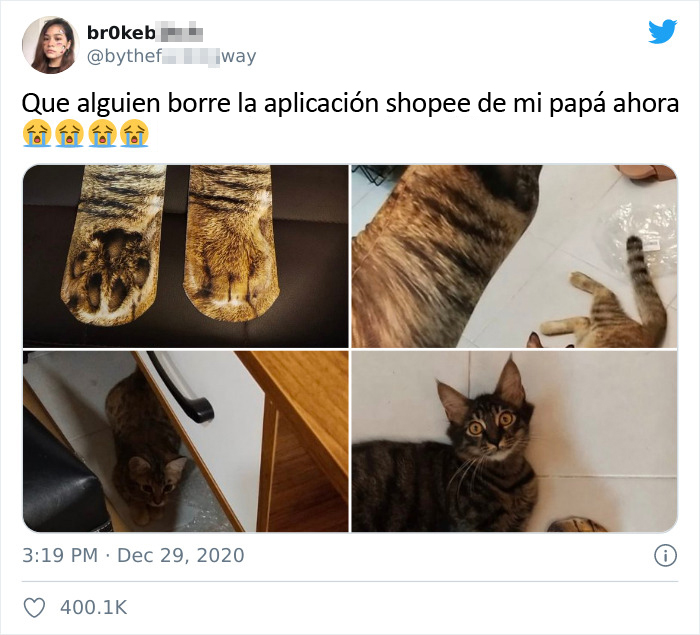 Un padre compra unos calcetines que parecen patas de gato y su hija comparte la divertida reacción del gato que se vuelve viral