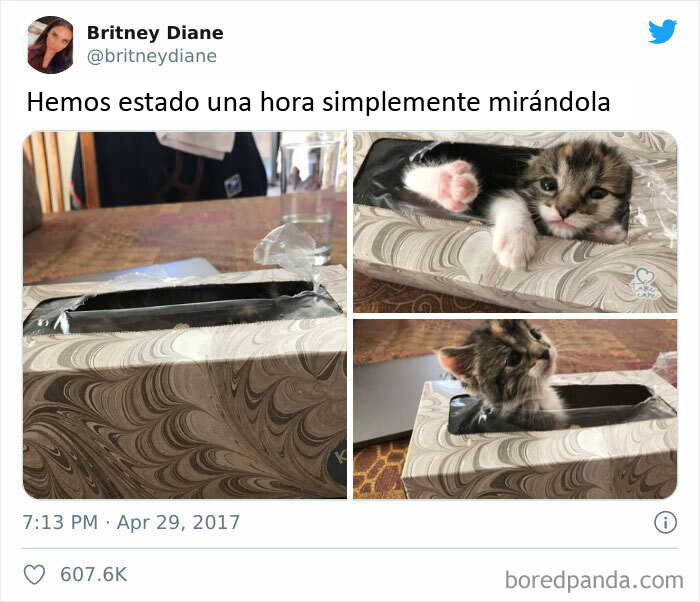 Visto en Instagram