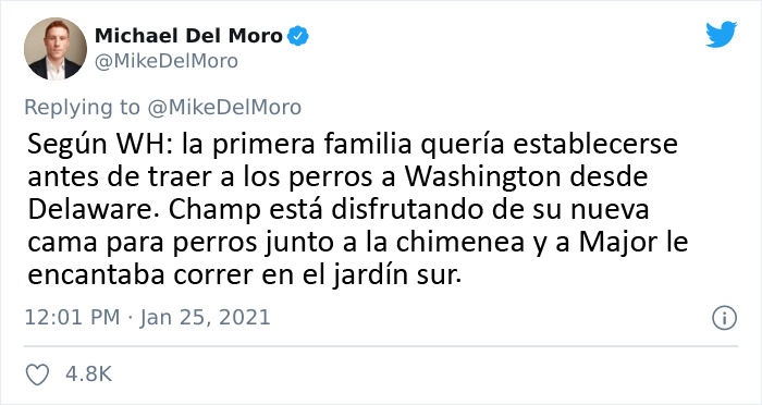 Los perros de Biden se han mudado a la Casa Blanca y las imágenes son sencillamente preciosas (11 imágenes)