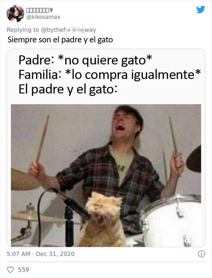 Un padre compra unos calcetines que parecen patas de gato y su hija comparte la divertida reacción del gato que se vuelve viral