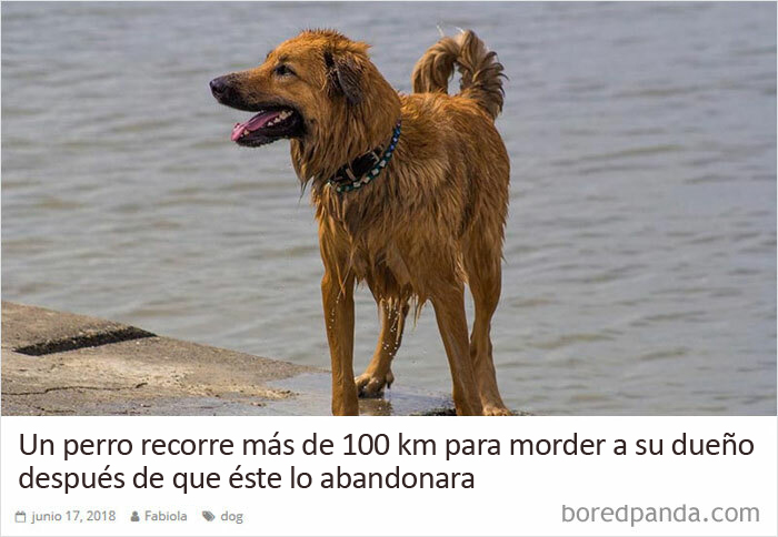 Tuvo su merecido