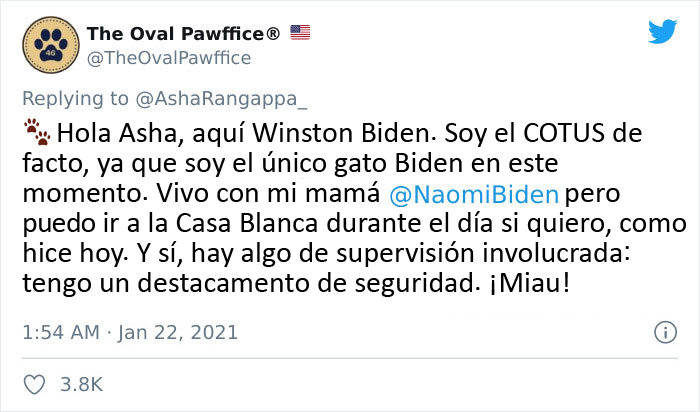 Los perros de Biden se han mudado a la Casa Blanca y las imágenes son sencillamente preciosas (11 imágenes)