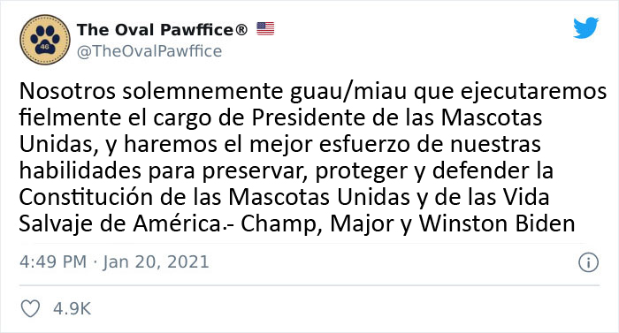Los perros de Biden se han mudado a la Casa Blanca y las imágenes son sencillamente preciosas (11 imágenes)
