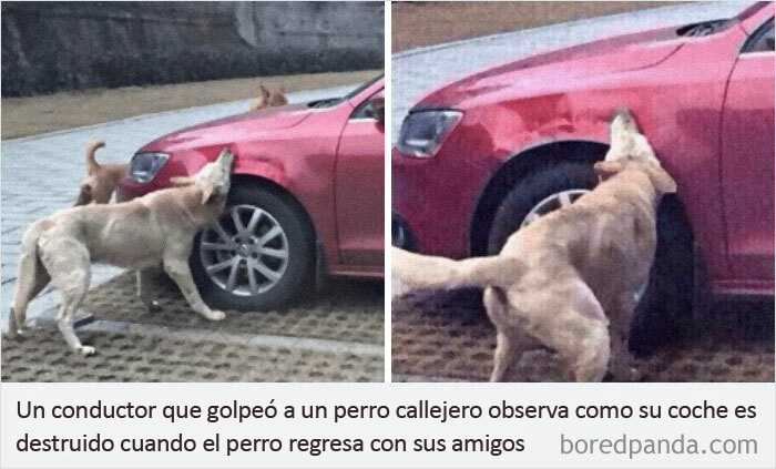 Tuvo Su Merecido