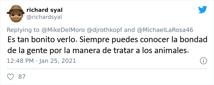 Los perros de Biden se han mudado a la Casa Blanca y las imágenes son sencillamente preciosas (11 imágenes)