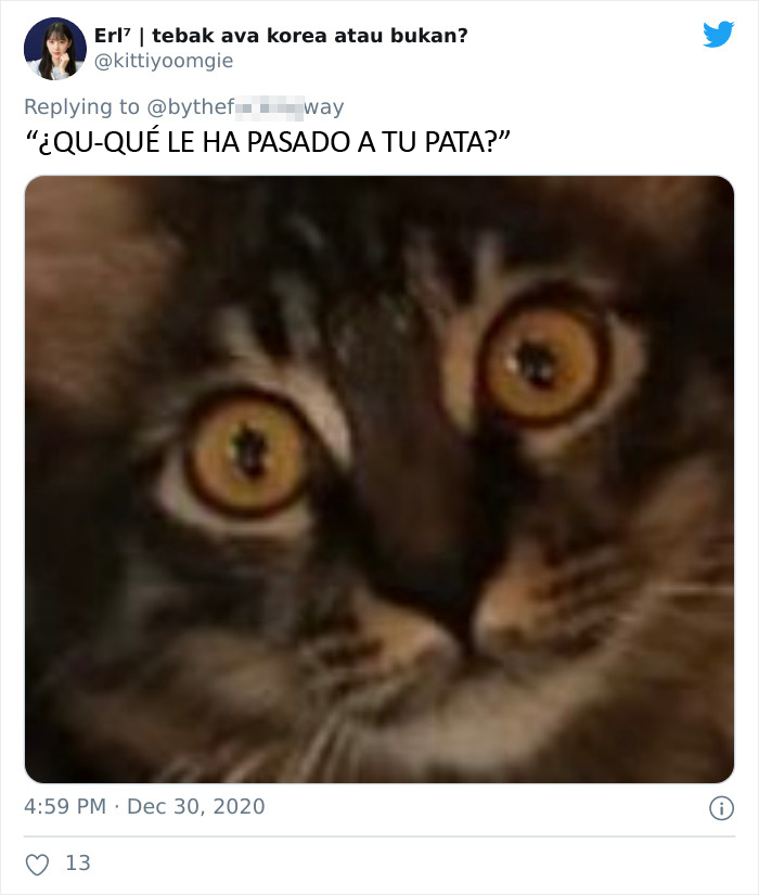 Un padre compra unos calcetines que parecen patas de gato y su hija comparte la divertida reacción del gato que se vuelve viral