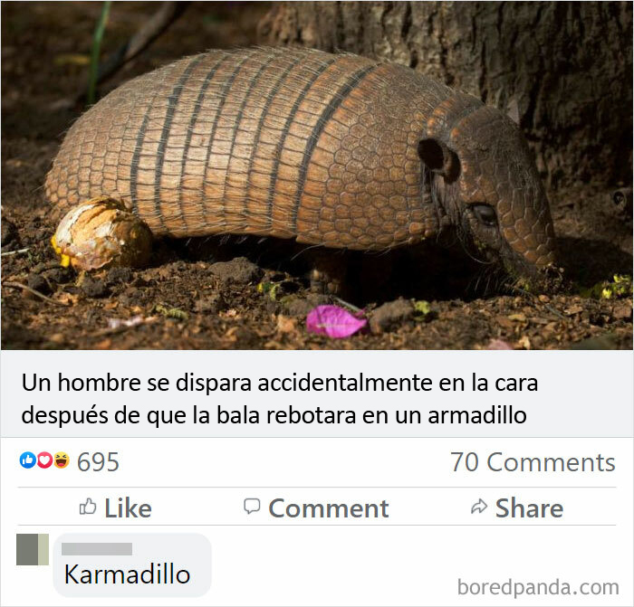 Karmadillo