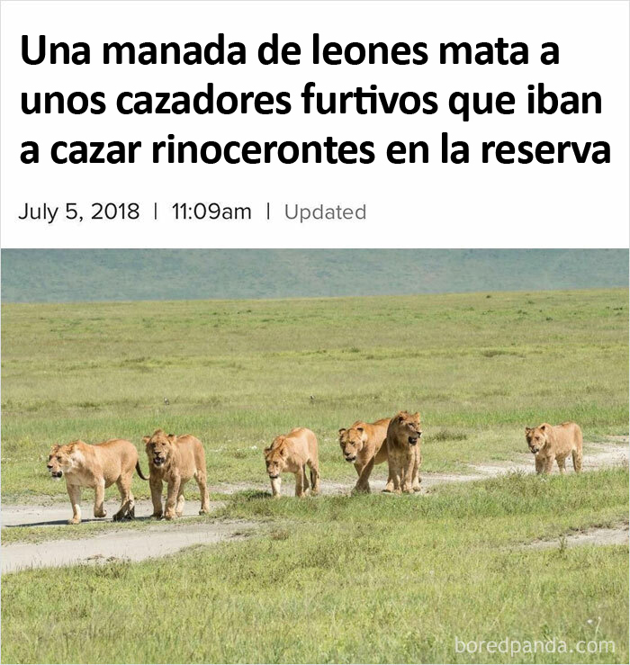 Recibieron su merecido
