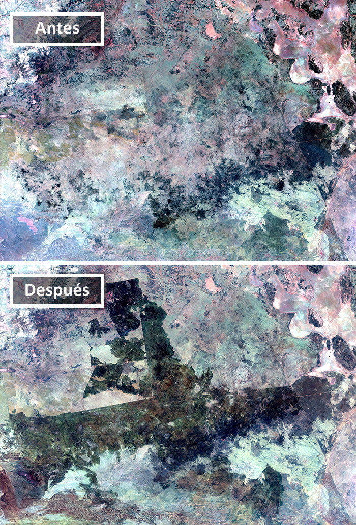 Tanami Desert Fires, Australia