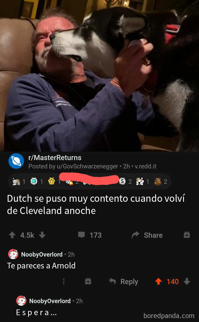 Se Parece A Arnold