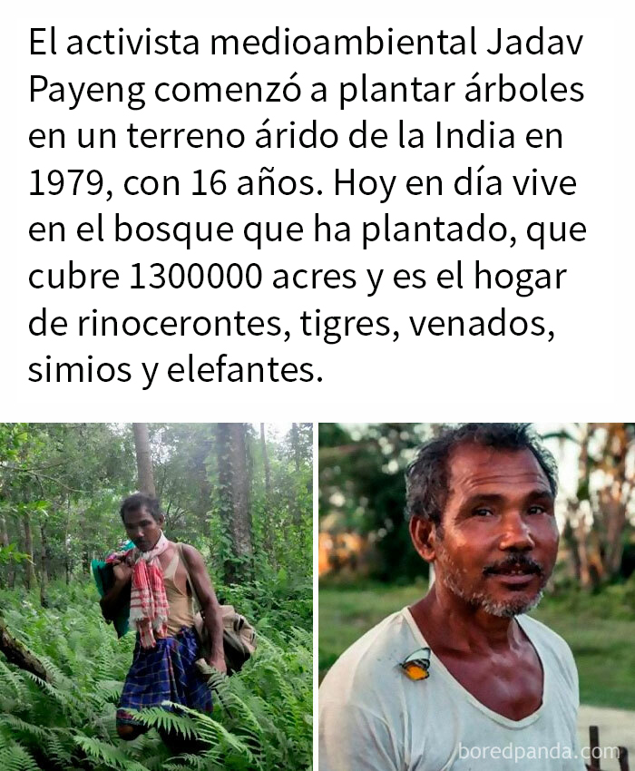 Plantó Un Bosque Entero
