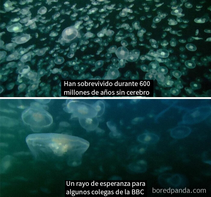 Documentales De La Naturaleza