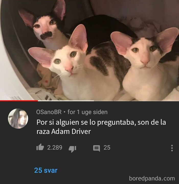 Pues Se Parecen Mucho