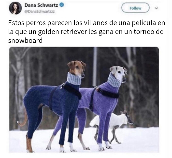 La Próxima Vez Lo Atraparemos