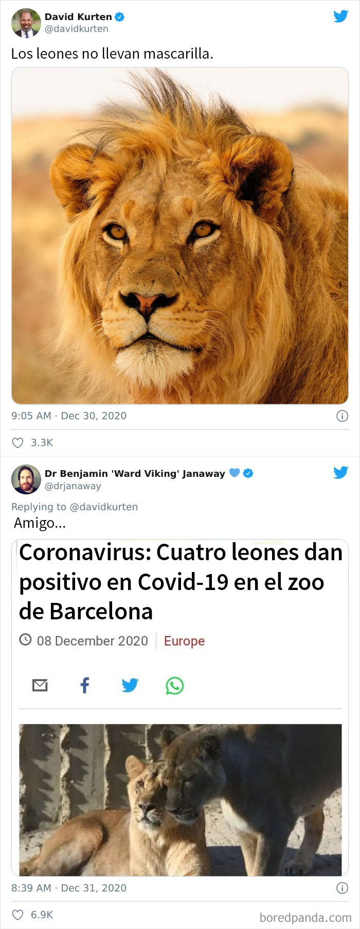 Pobres Leones