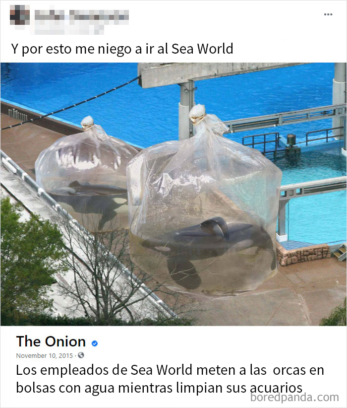 Odio El Sea World