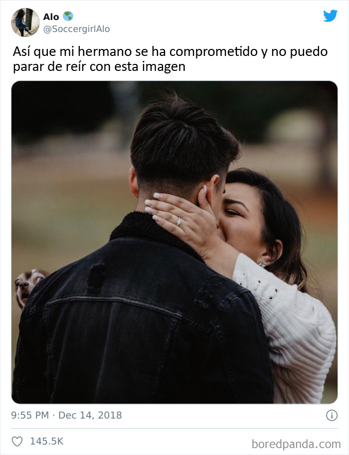 El perro piensa "¿Esto es real?"
