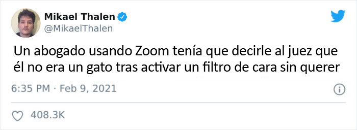 "Creo que tiene un filtro activado": Un abogado se presenta accidentalmente con un filtro de gato en una audiencia judicial vía Zoom