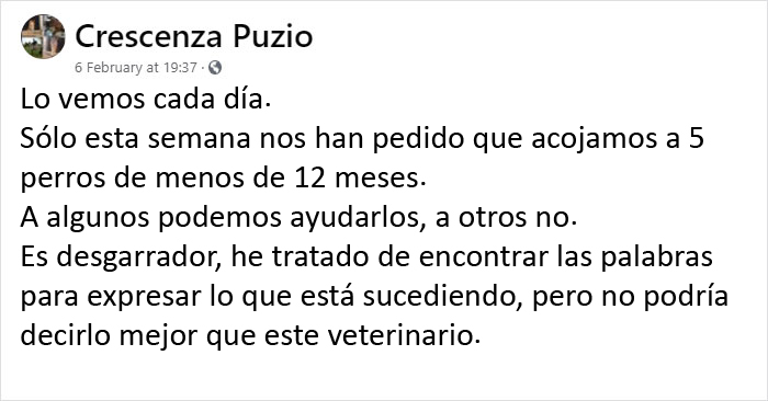 Este veterinario se vio obligado a sacrificar a un cachorro sano y pide a la gente que se lo piense bien antes de adquirir un perro durante el confinamiento