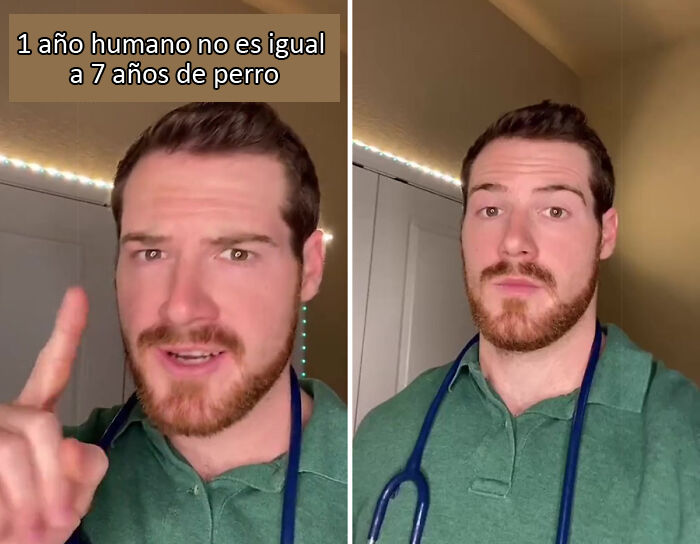 Este veterinario explica cómo contar los años de los perros, y parece que 1 año humano no equivale a 7 años en un perro