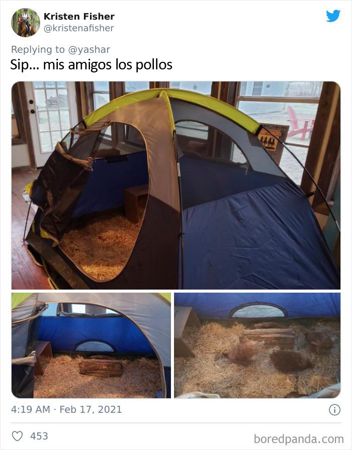 Texans Are Bringing Farm And Wild Animals Inside To Keep Them Warm During The Cold Wave (19 Pics)