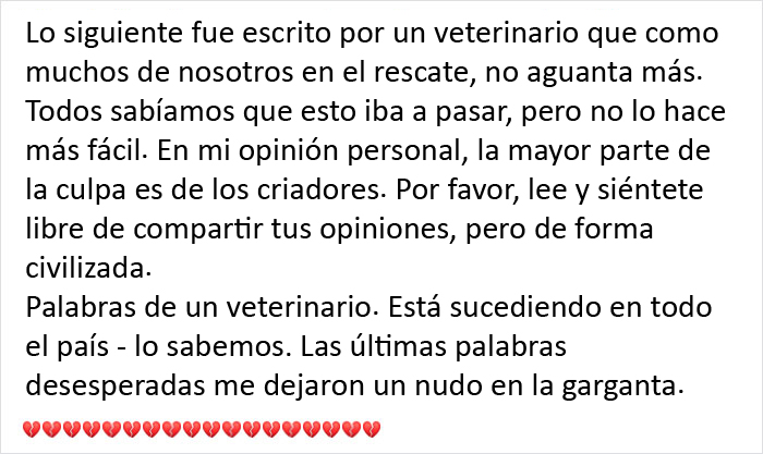 Este veterinario se vio obligado a sacrificar a un cachorro sano y pide a la gente que se lo piense bien antes de adquirir un perro durante el confinamiento