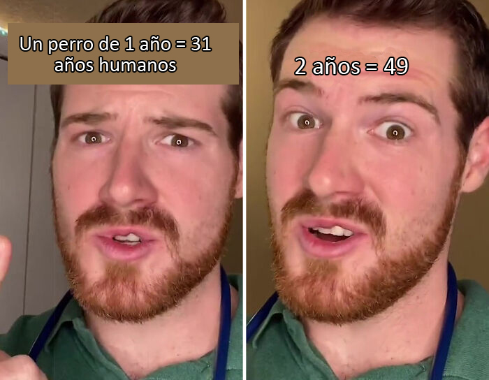 Este veterinario explica cómo contar los años de los perros, y parece que 1 año humano no equivale a 7 años en un perro